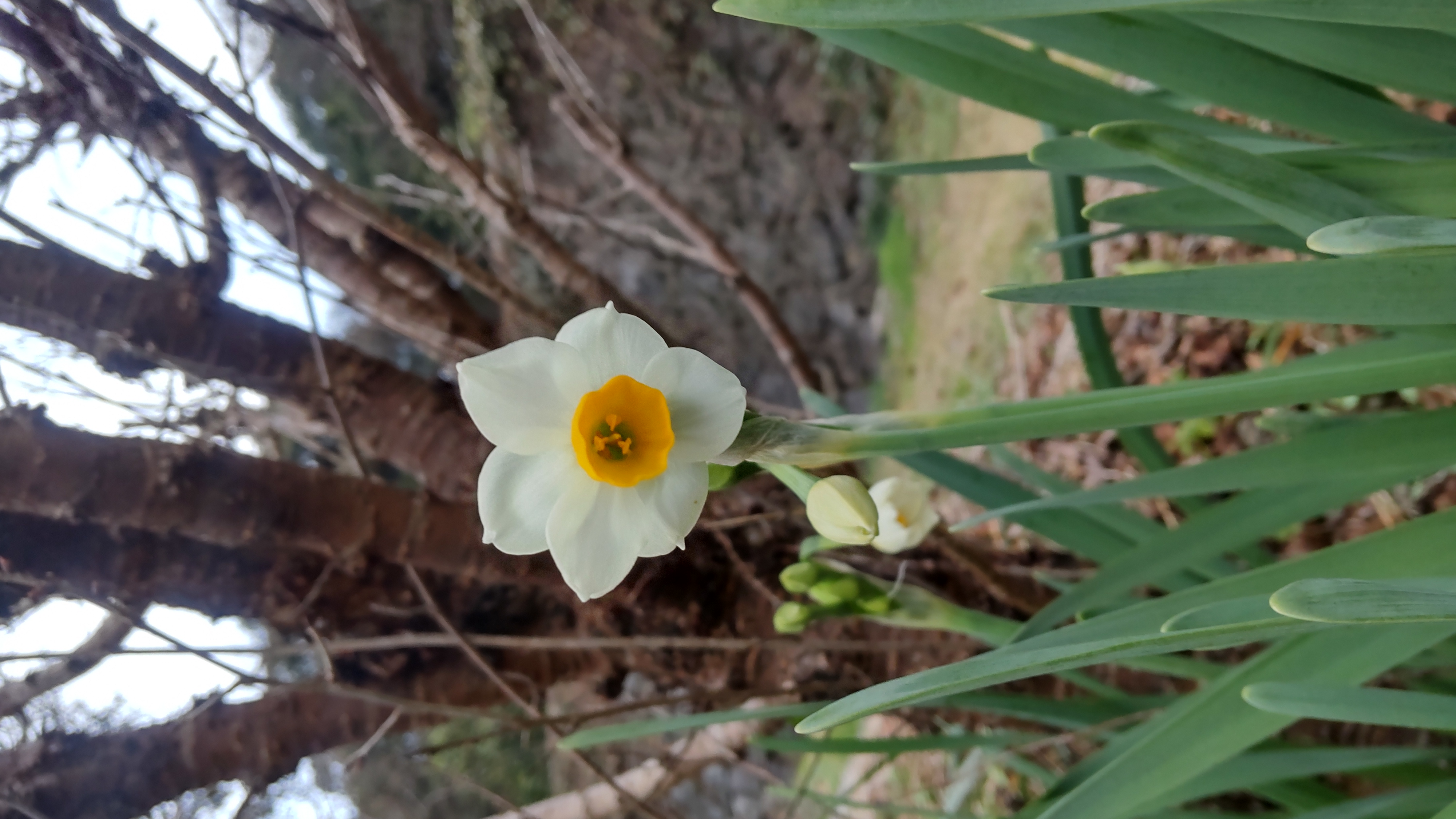寒いです 1月7日