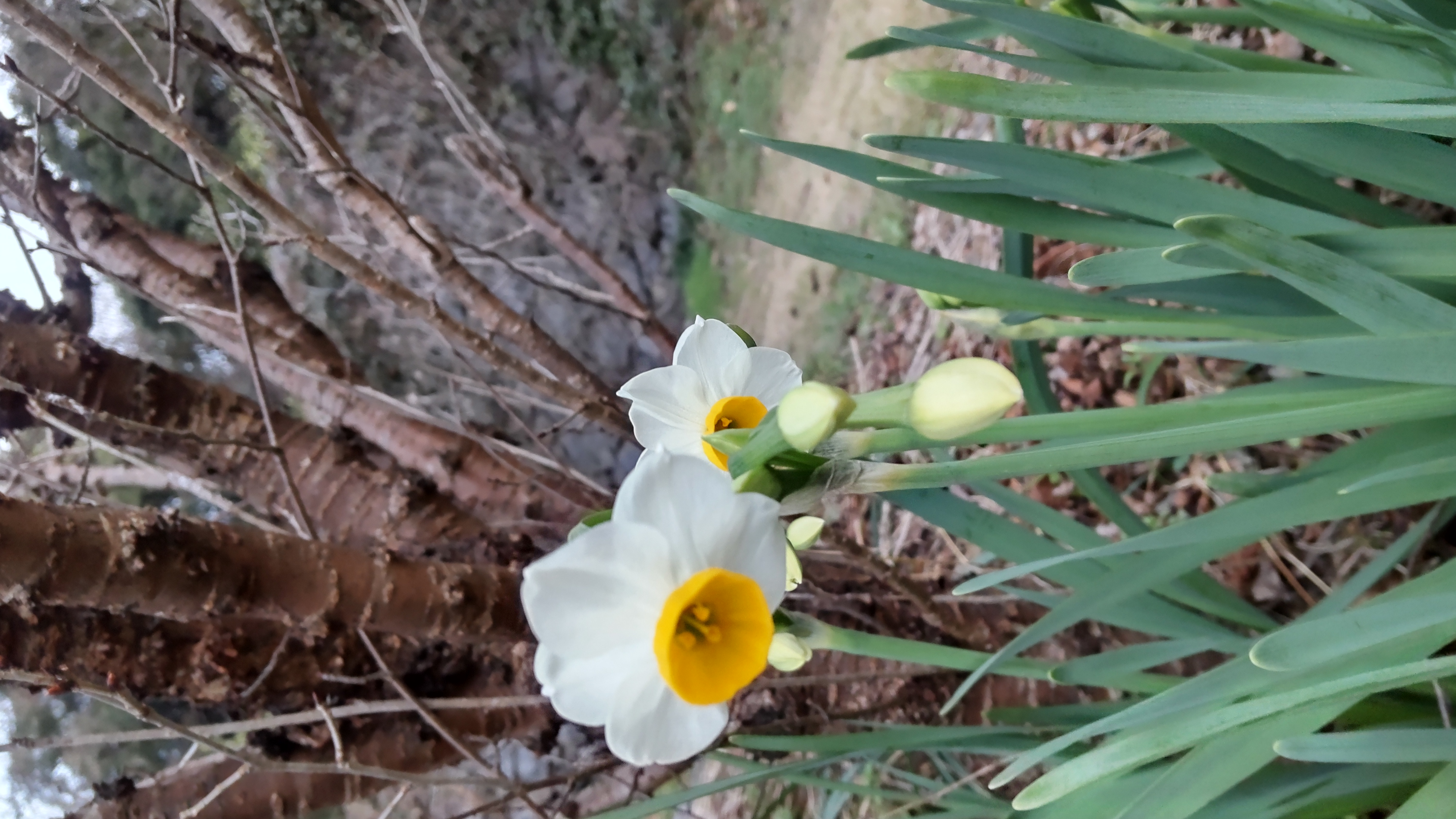昨日、今日は長崎 1月14日