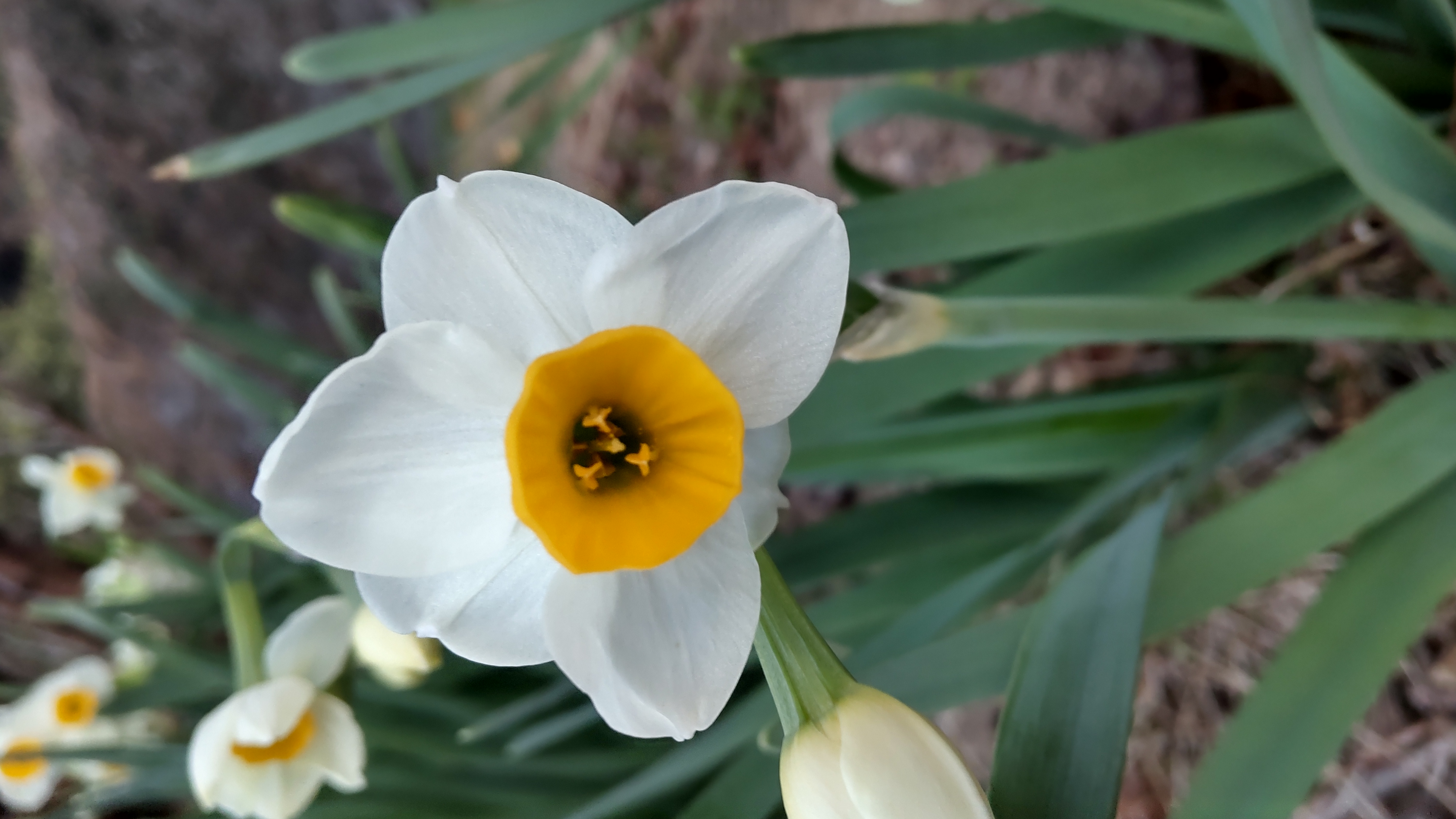 雨のような曇のような 1月19日
