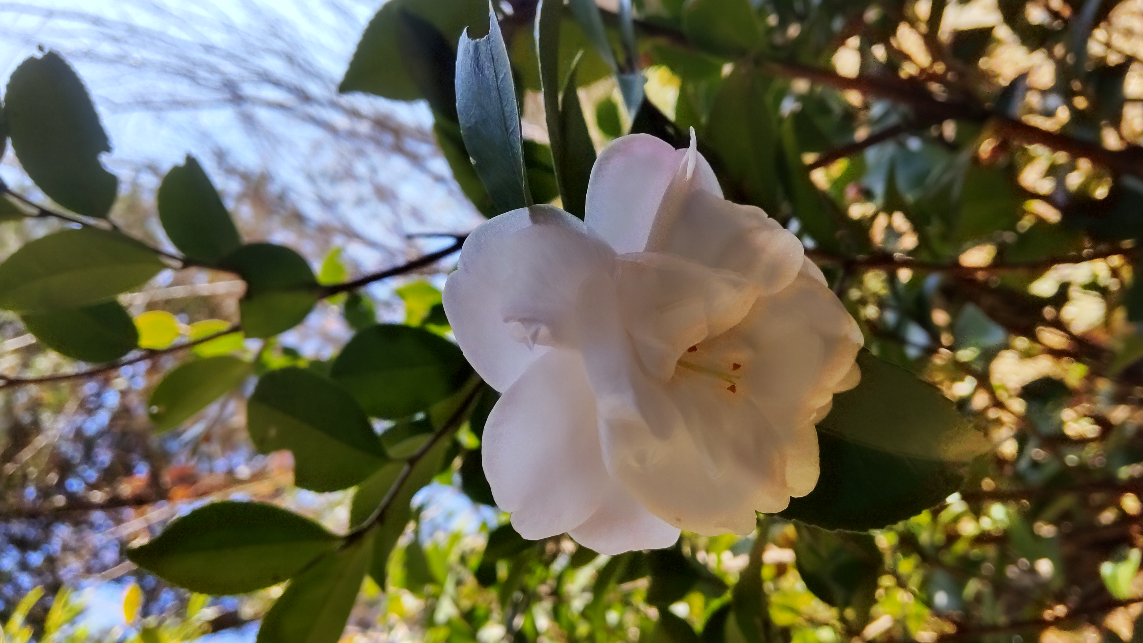 雨の予報ははずれる 1月20日